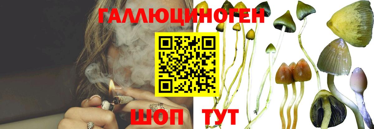 Сарапул  Галлюциногенные грибы мухоморы  Вход с VPN 
